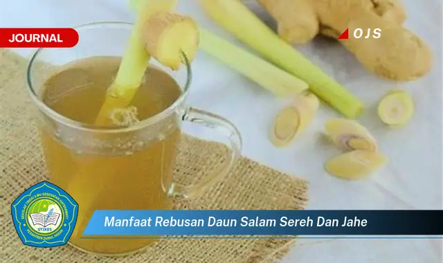 manfaat rebusan daun salam sereh dan jahe