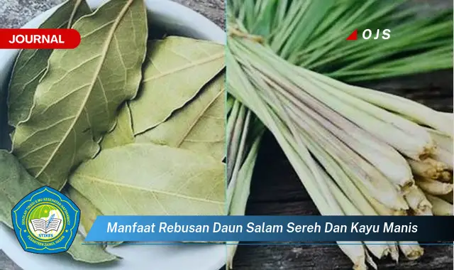 manfaat rebusan daun salam sereh dan kayu manis