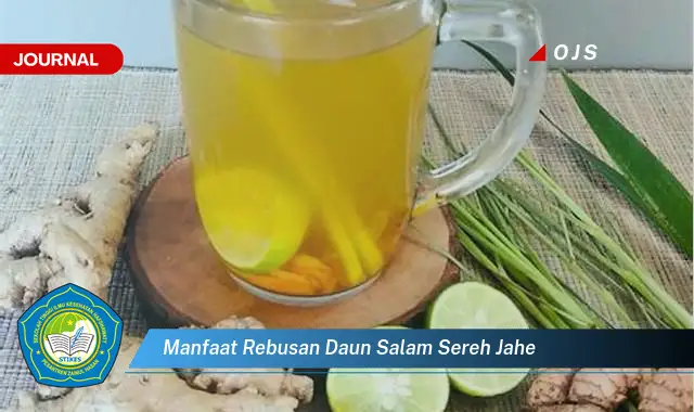 manfaat rebusan daun salam sereh jahe