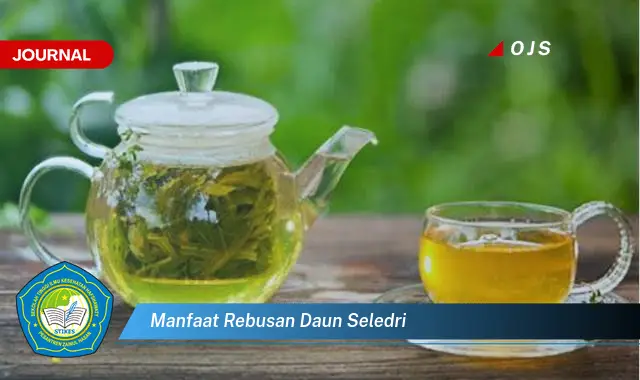 manfaat rebusan daun seledri