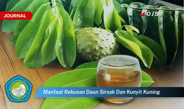 Ketahui 10 Manfaat Rebusan Daun Sirsak dan Kunyit Kuning untuk Kesehatan Anda