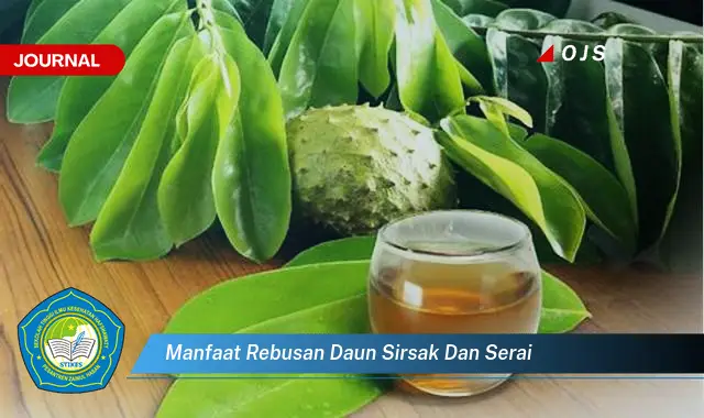 manfaat rebusan daun sirsak dan serai