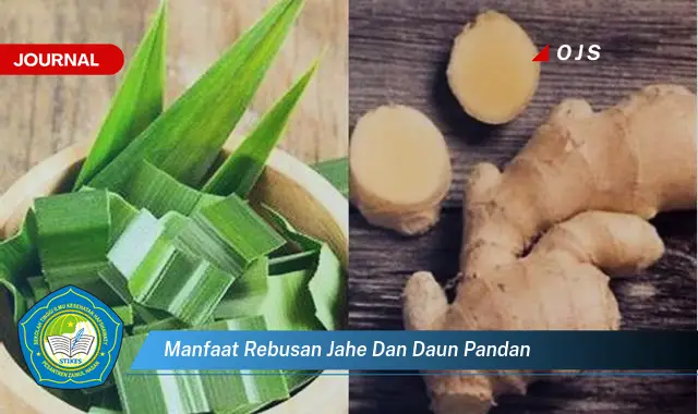 Ketahui 10 Manfaat Rebusan Jahe dan Daun Pandan untuk Kesehatan Anda