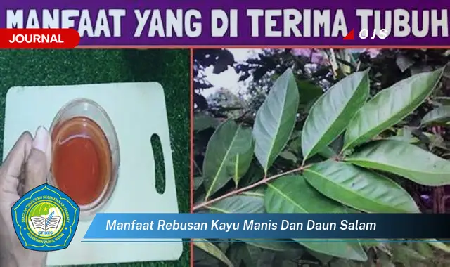 manfaat rebusan kayu manis dan daun salam