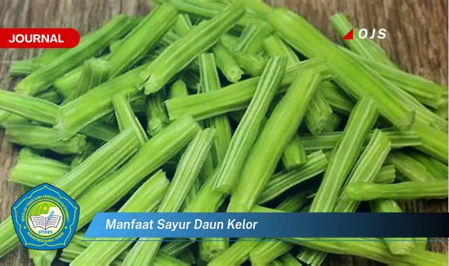 manfaat sayur daun kelor