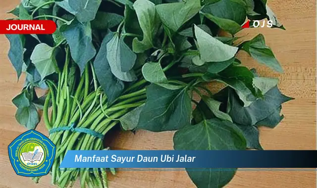 manfaat sayur daun ubi jalar