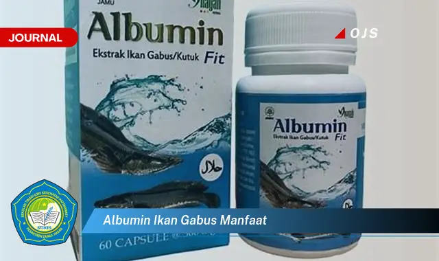 albumin ikan gabus manfaat