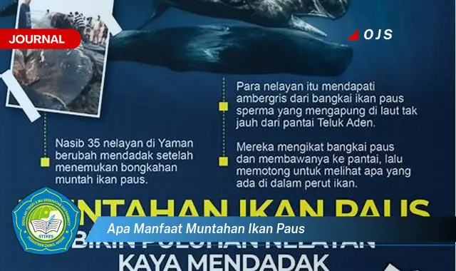 apa manfaat muntahan ikan paus
