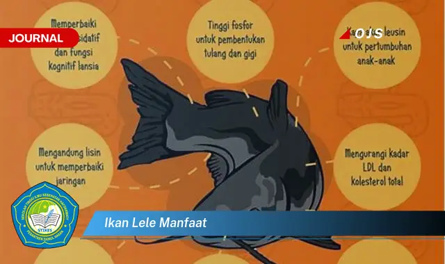 ikan lele manfaat ikan lele manfaat