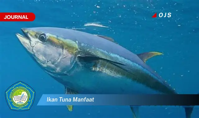 ikan tuna manfaat ikan tuna manfaat