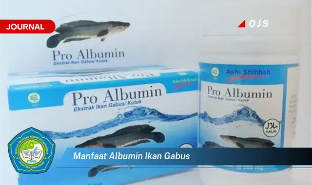 manfaat albumin ikan gabus manfaat albumin ikan gabus