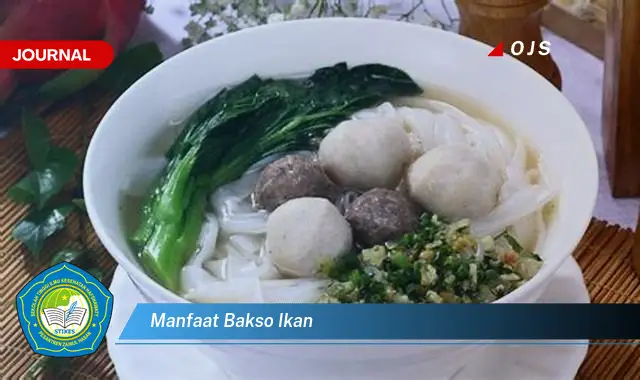 manfaat bakso ikan