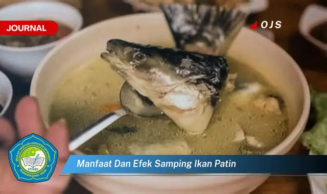 manfaat dan efek samping ikan patin