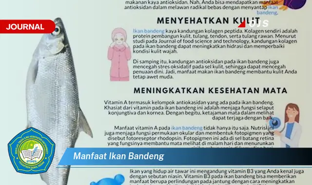 manfaat ikan bandeng manfaat ikan bandeng