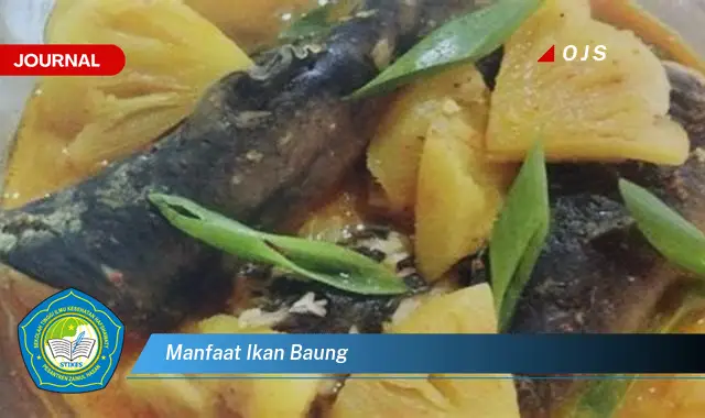 manfaat ikan baung manfaat ikan baung