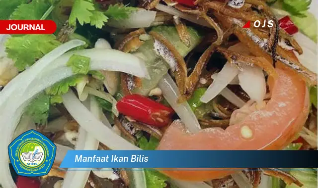 manfaat ikan bilis manfaat ikan bilis