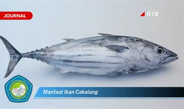 manfaat ikan cakalang