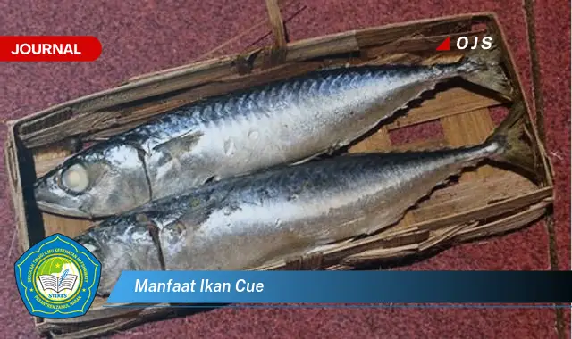 manfaat ikan cue