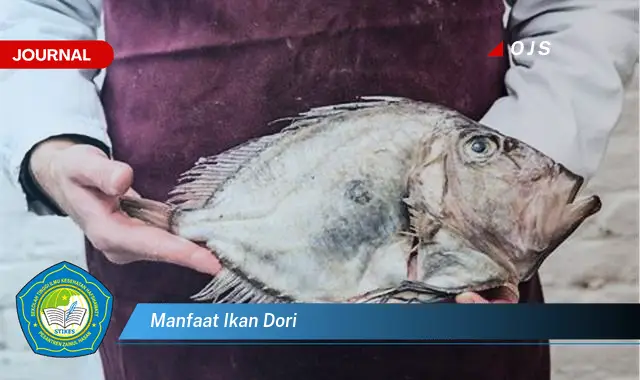 manfaat ikan dori manfaat ikan dori
