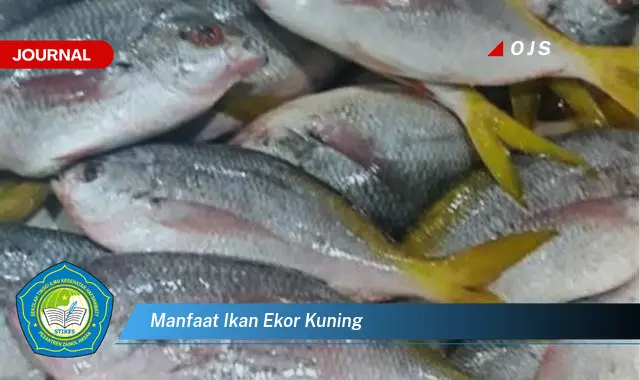 manfaat ikan ekor kuning