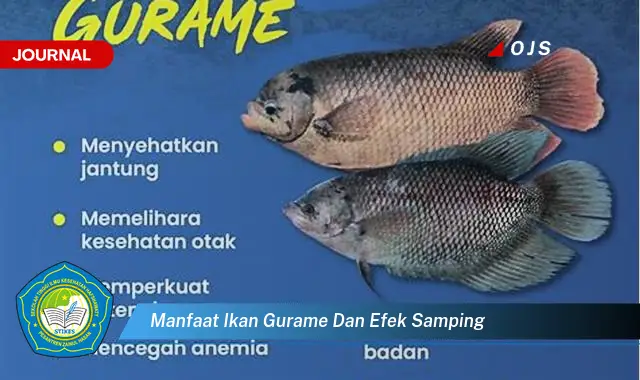 manfaat ikan gurame dan efek samping