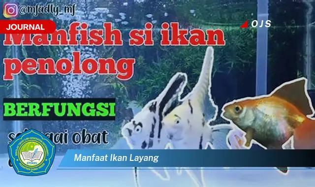 manfaat ikan layang