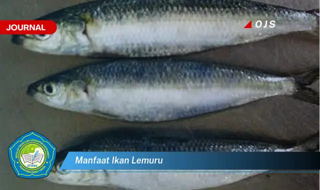 manfaat ikan lemuru