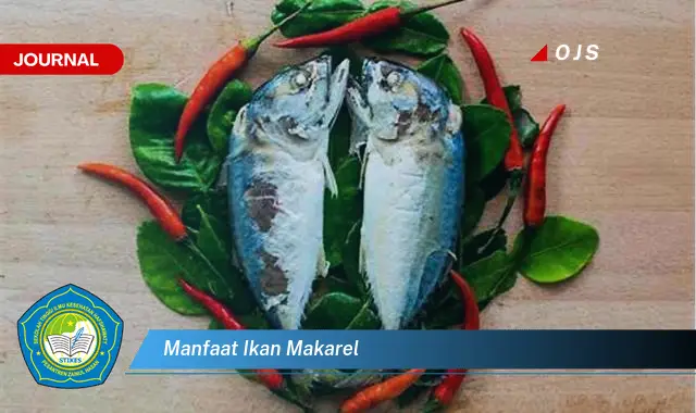 Ketahui 6 Manfaat Ikan Makarel yang bikin kamu penasaran - E-Journal