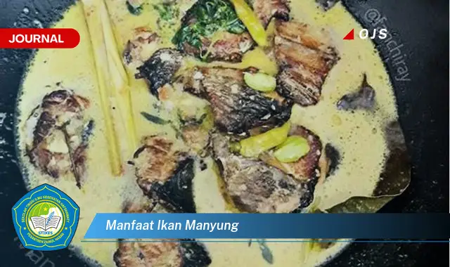 manfaat ikan manyung