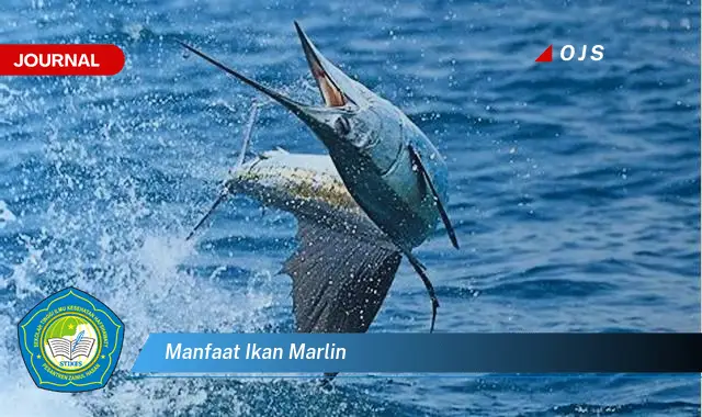 manfaat ikan marlin