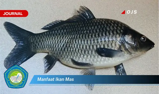 manfaat ikan mas