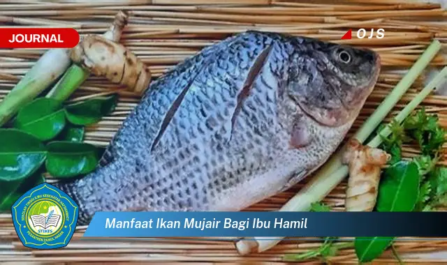 manfaat ikan mujair bagi ibu hamil manfaat ikan mujair bagi ibu hamil