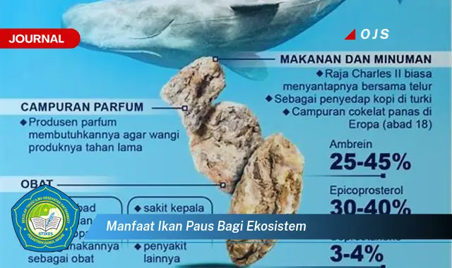 manfaat ikan paus bagi ekosistem