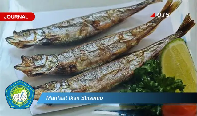 Intip 6 Manfaat Ikan Shisamo yang Bikin Kamu Penasaran - E-Journal