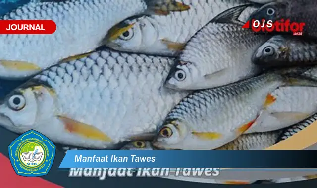 manfaat ikan tawes