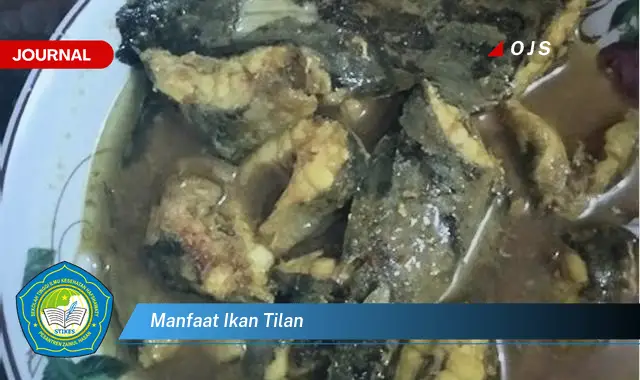 manfaat ikan tilan