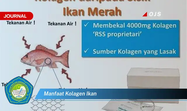 manfaat kolagen ikan manfaat kolagen ikan