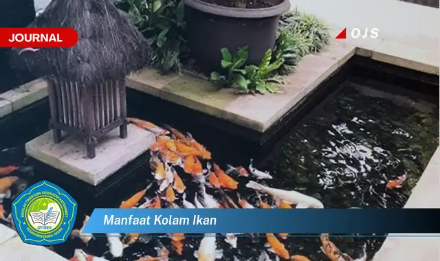 manfaat kolam ikan manfaat kolam ikan
