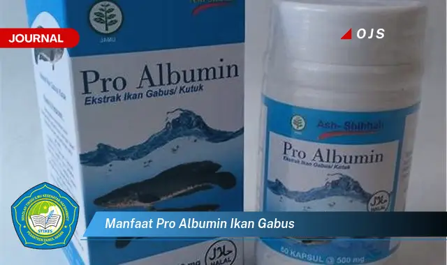manfaat pro albumin ikan gabus manfaat pro albumin ikan gabus