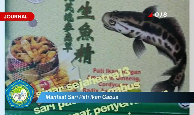 manfaat sari pati ikan gabus manfaat sari pati ikan gabus