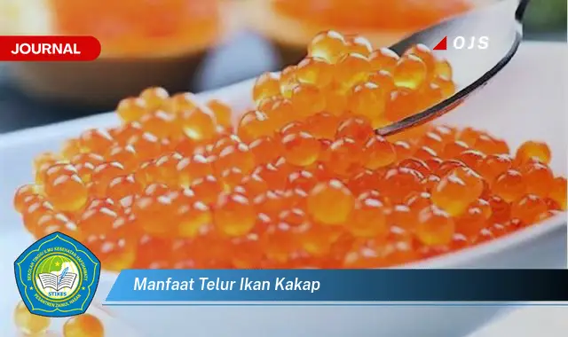 manfaat telur ikan kakap manfaat telur ikan kakap