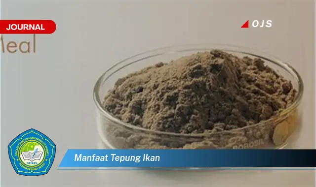 manfaat tepung ikan manfaat tepung ikan