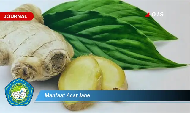 manfaat acar jahe