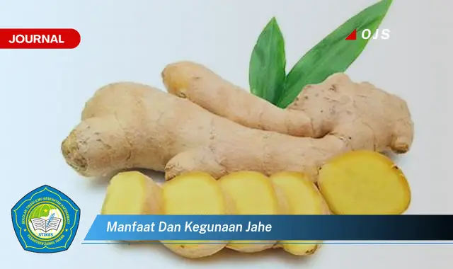 manfaat dan kegunaan jahe