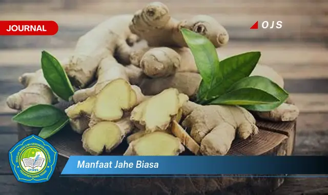 manfaat jahe biasa