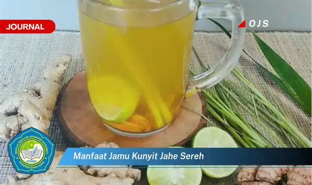 manfaat jamu kunyit jahe sereh