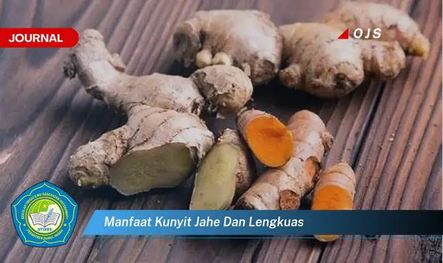 manfaat kunyit jahe dan lengkuas manfaat kunyit jahe dan lengkuas