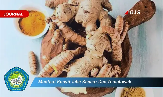 manfaat kunyit jahe kencur dan temulawak