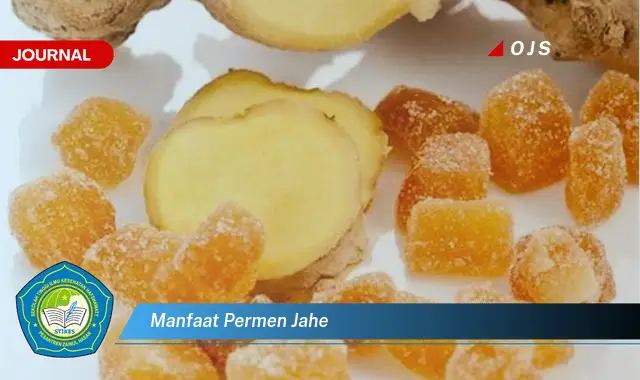 manfaat permen jahe manfaat permen jahe