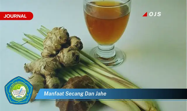 manfaat secang dan jahe